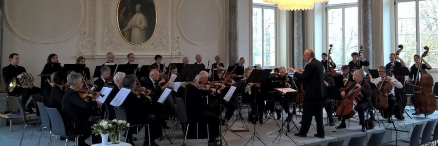 Bodensee-Ärzteorchester