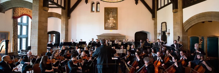Detroit Medical Orchestra