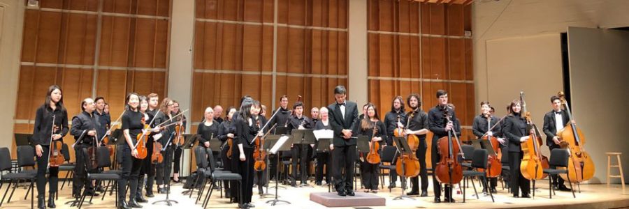 North American Medical Orchestra
