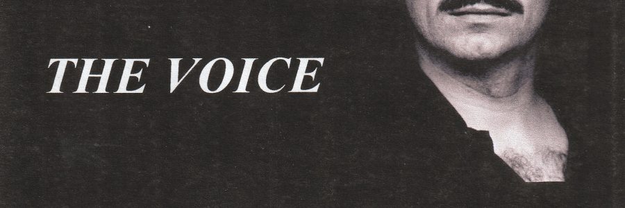 CD THE VOICE mit Patrick Simper