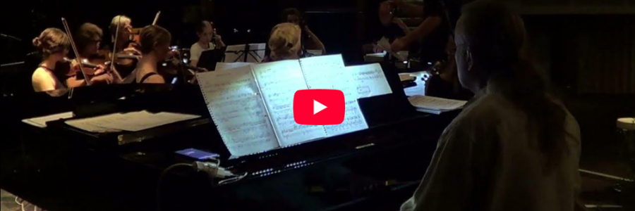 Deutsches Akupunkturärzteorchester