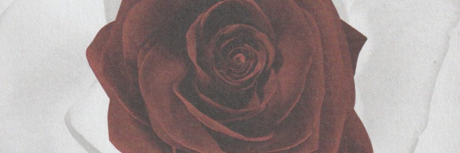 CD Segreti d’Amore